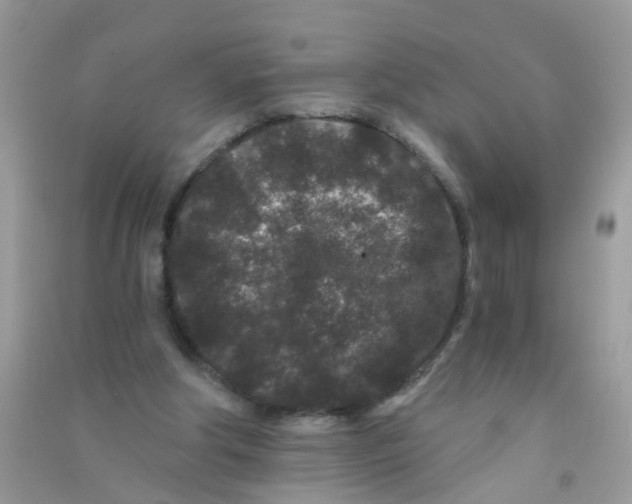 X0000090720202200708171933