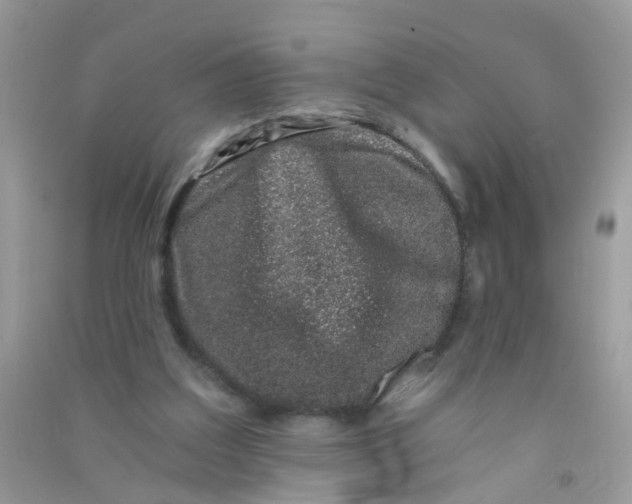 X0000090720203200708171933