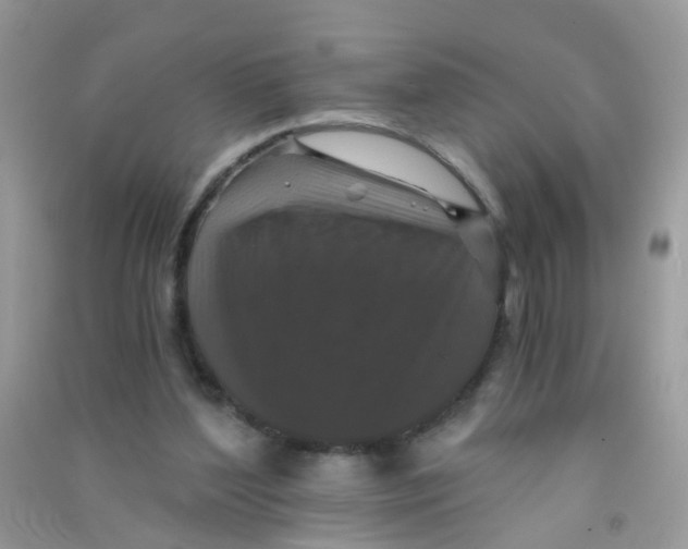 X0000090720204200708171933