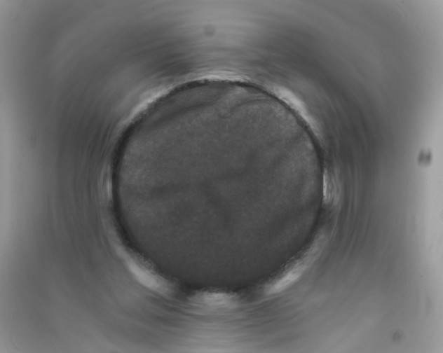 X0000090720205200708171933