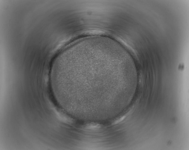 X0000090720206200708171933