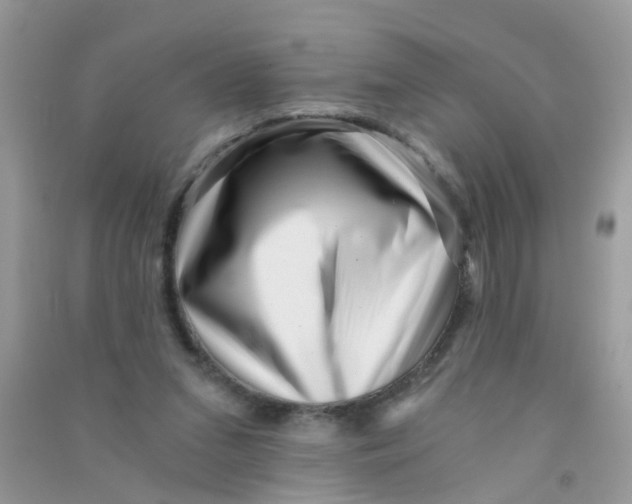 X0000090720207200708171933