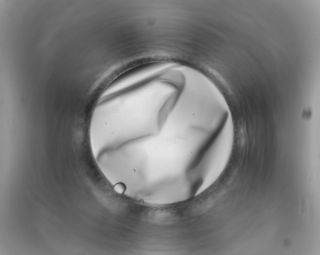 X0000090720208200708171933