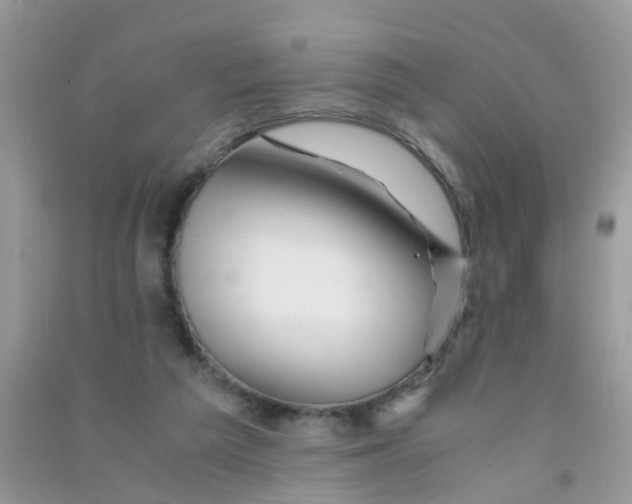 X0000090720209200708171933