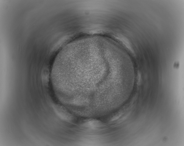 X0000090720210200708171933