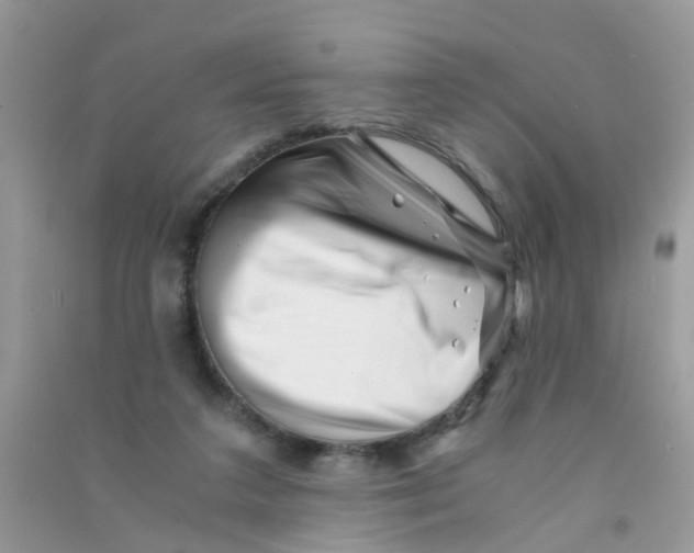 X0000090720211200708171933