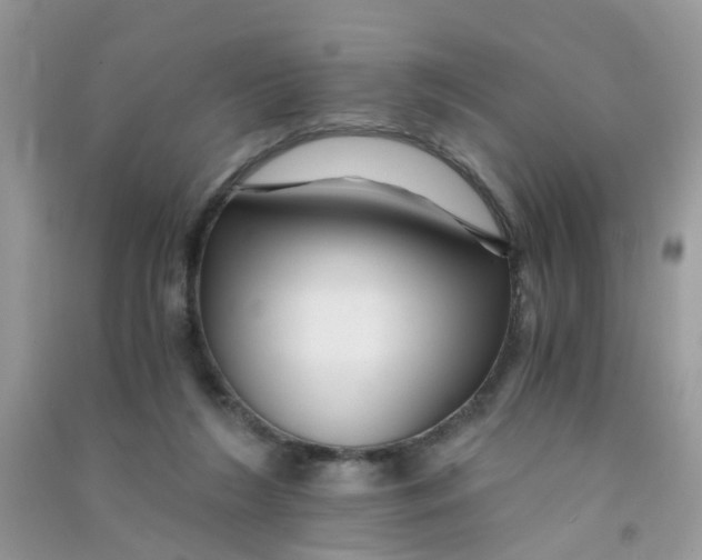 X0000090720212200708171933