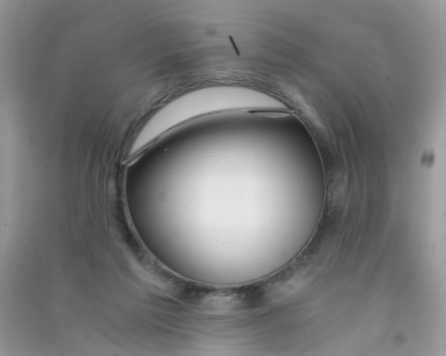 X0000090720213200708171933