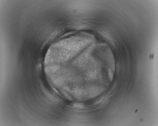 X0000090720214200708171933