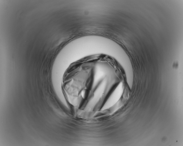 X0000090720215200708171933