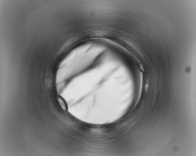 X0000090720216200708171933