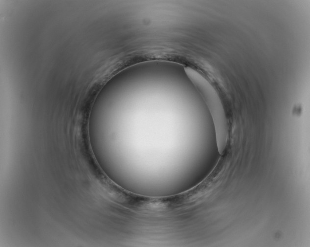X0000090720217200708171933