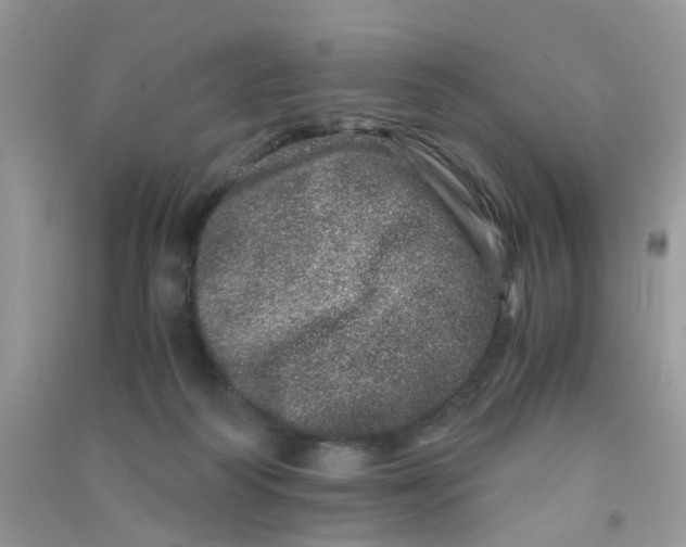 X0000090720218200708171933