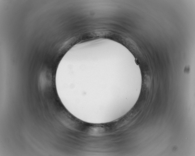 X0000090720220200708171933