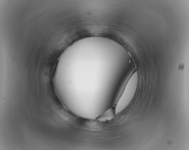 X0000090720221200708171933