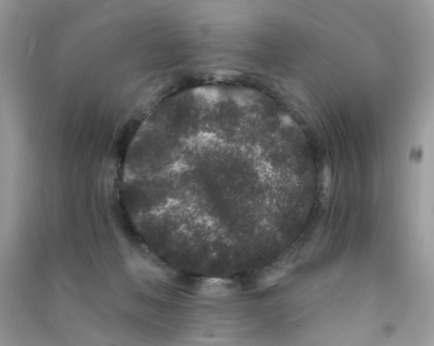 X0000090720222200708171933