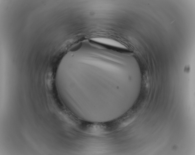 X0000090720223200708171933