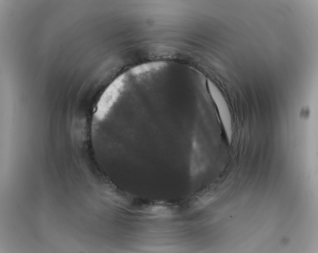X0000090720224200708171933