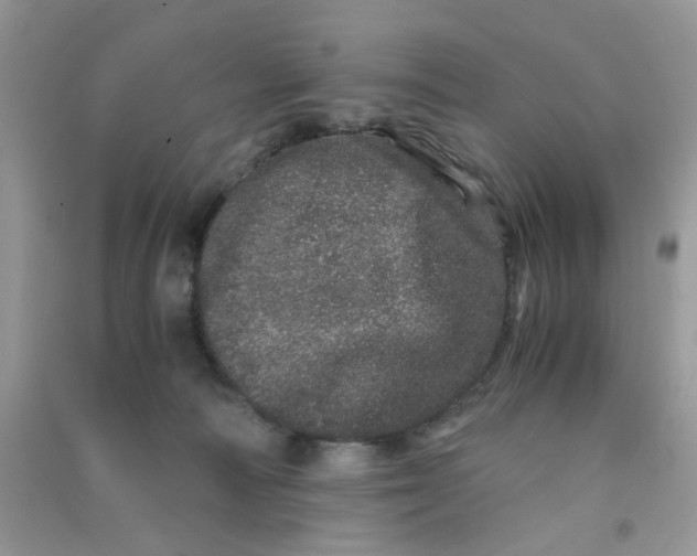 X0000090720226200708171933