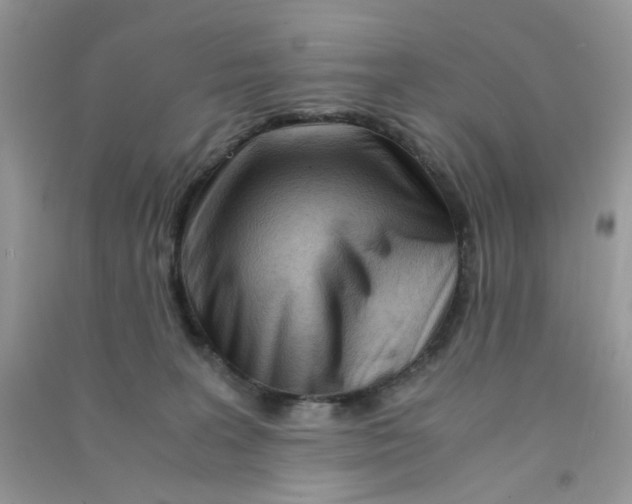X0000090720227200708171933