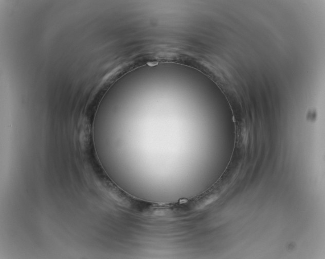 X0000090720228200708171933