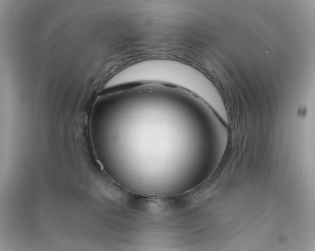 X0000090720229200708171933