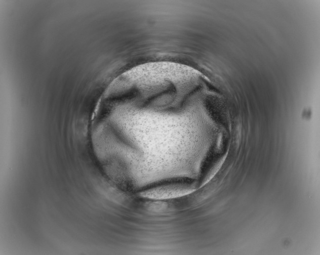 X0000090720230200708171933
