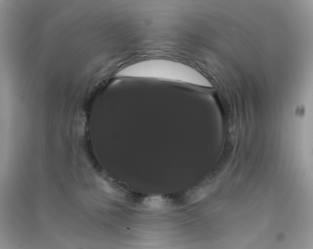 X0000090720231200708171933