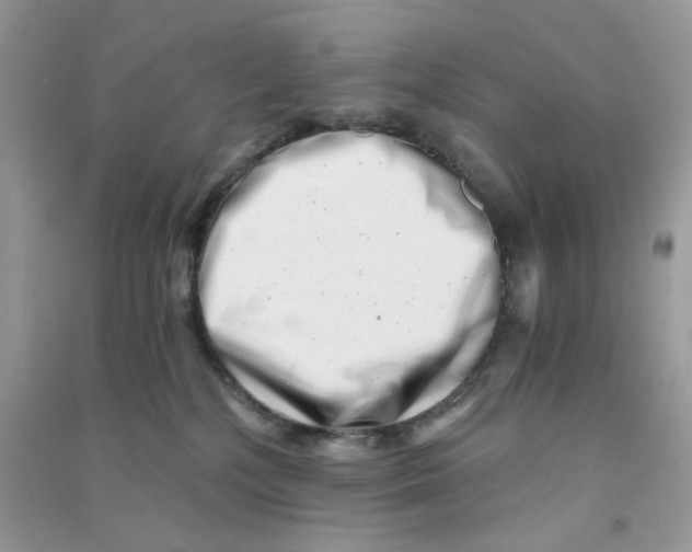 X0000090720232200708171933