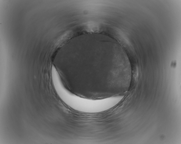 X0000090720233200708171933
