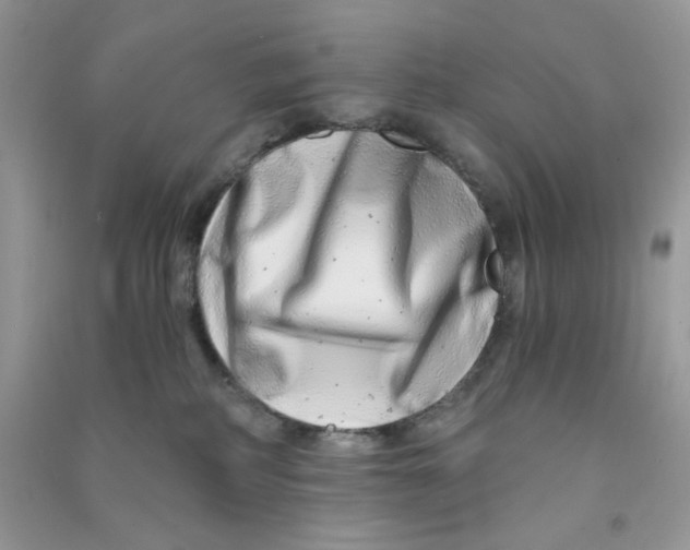 X0000090720234200708171933
