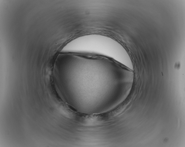 X0000090720235200708171933
