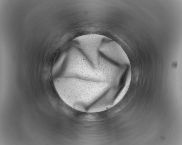X0000090720236200708171933