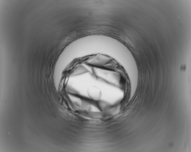 X0000090720237200708171933