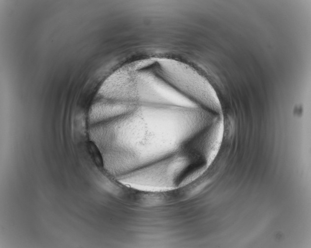 X0000090720238200708171933
