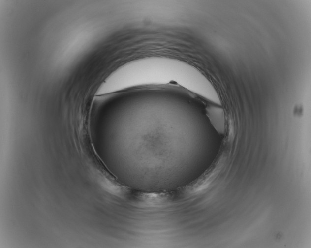 X0000090720239200708171933