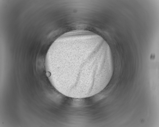 X0000090720240200708171933