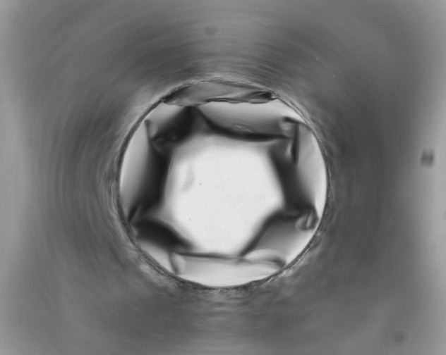 X0000090720241200708171932
