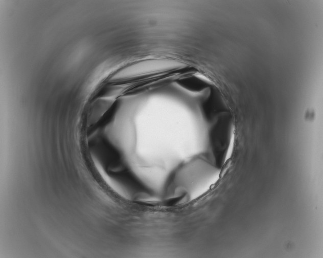X0000090720242200708171932