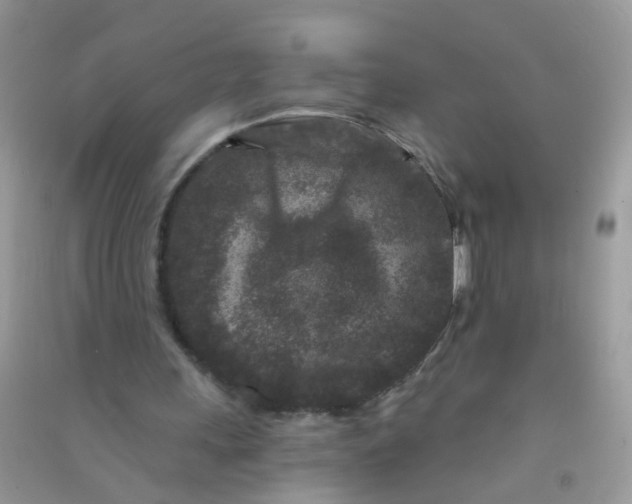 X0000090720243200708171932