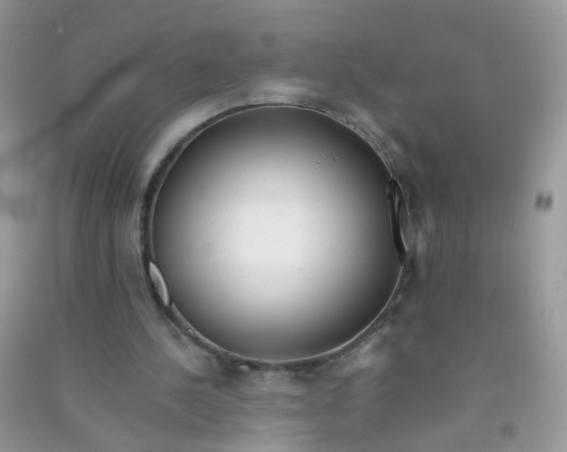 X0000090720244200708171932