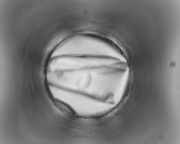 X0000090720245200708171932