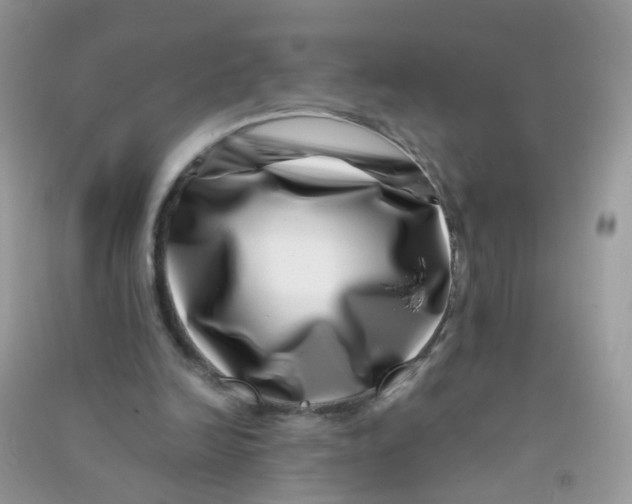 X0000090720246200708171932