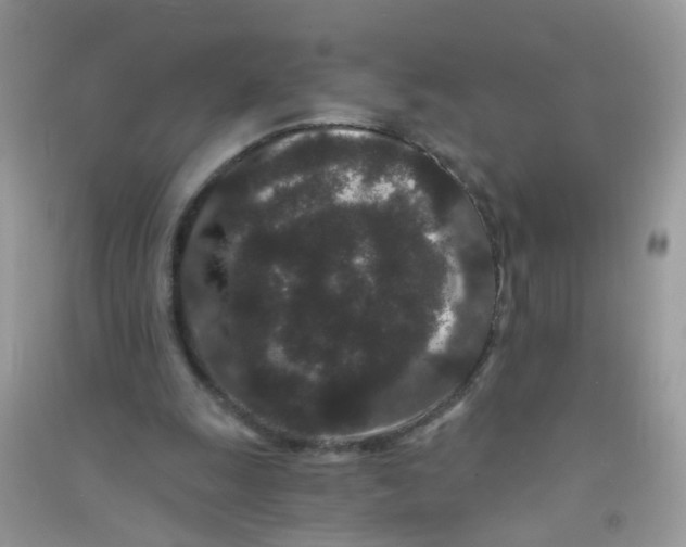 X0000090720247200708171932