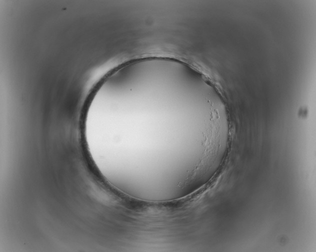 X0000090720248200708171932