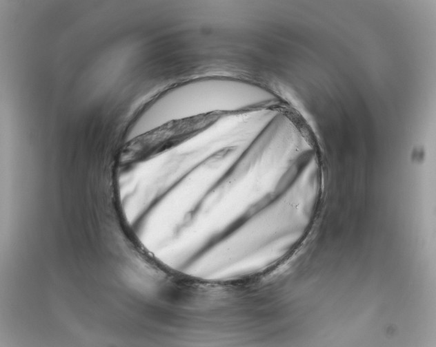 X0000090720249200708171932
