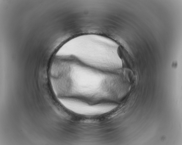 X0000090720251200708171932