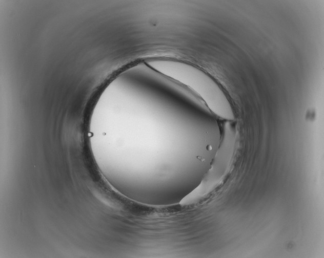 X0000090720252200708171932