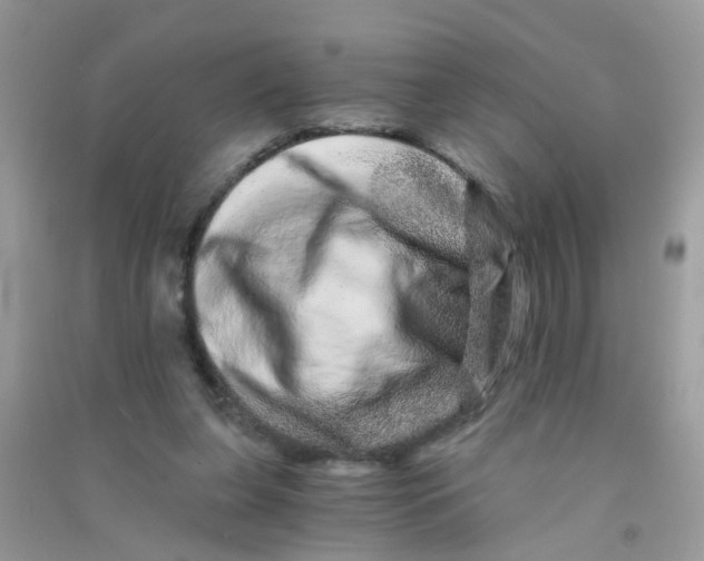 X0000090720255200708171932