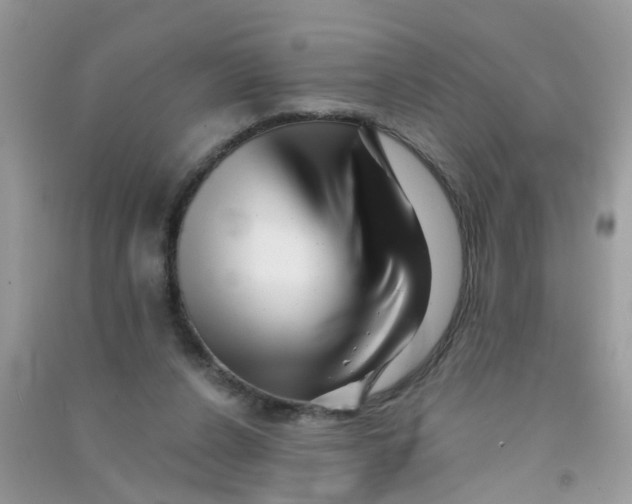 X0000090720256200708171932